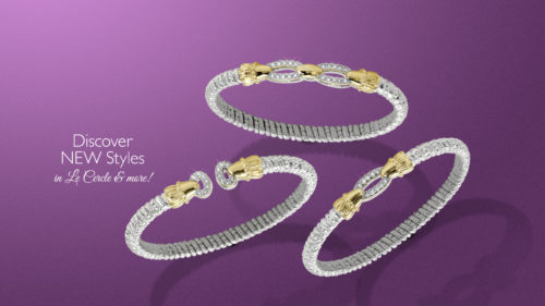 Connect With VAHAN