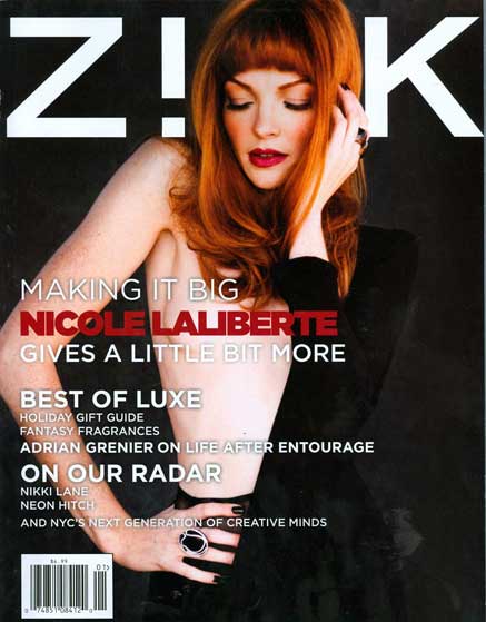 Zink Cover